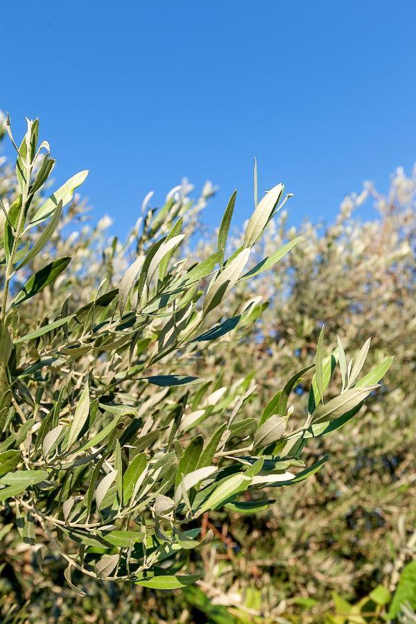 Hera Kyrenia Bb Kazaphani Bagian luar foto